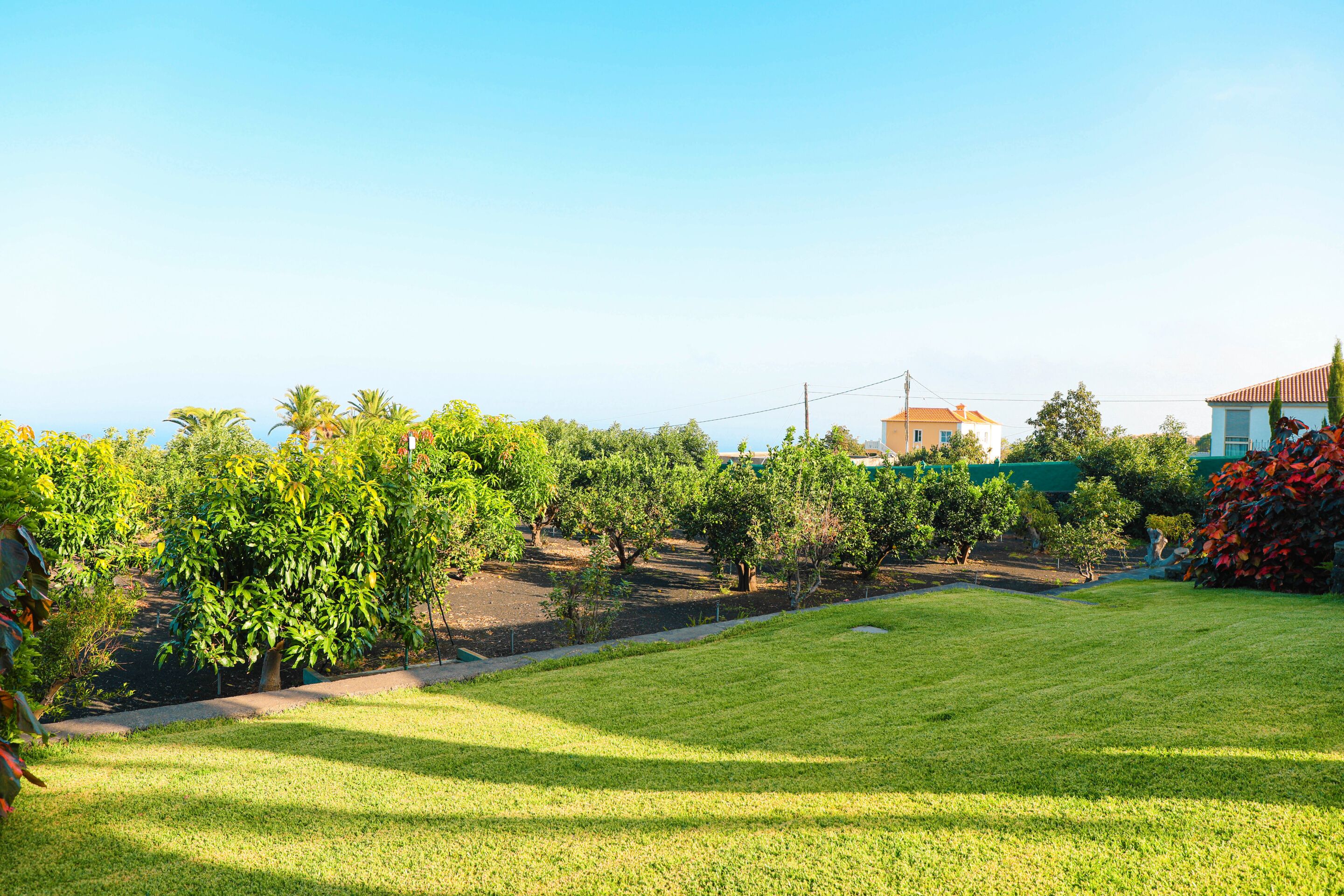 Un área verde bien cuidada, con árboles y un edificio al fondo.