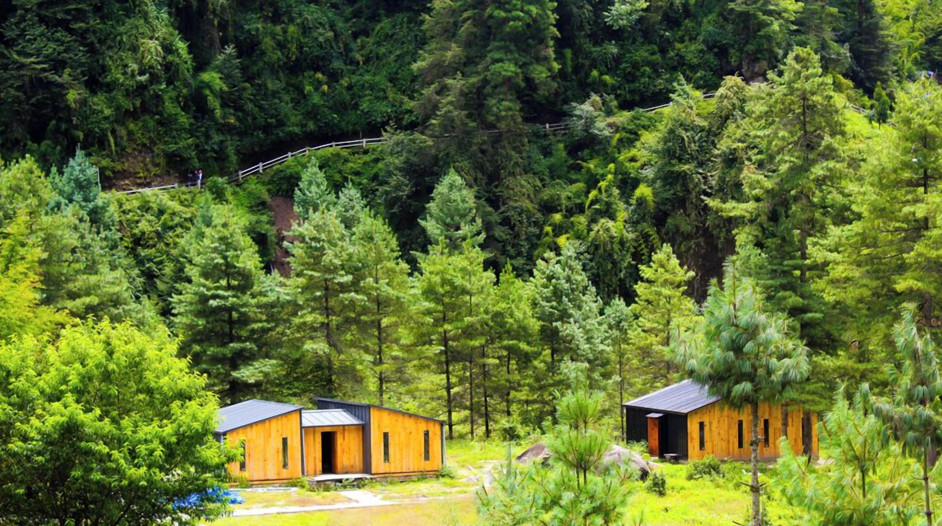 Dos cabañas de madera rodeadas de un bosque denso.