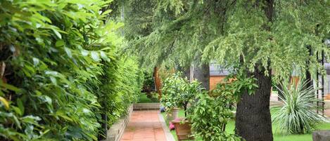 Un sendero bordeado de árboles verdes y plantas en macetas, que conduce a un área con césped y flores.