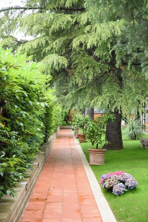 Garden view