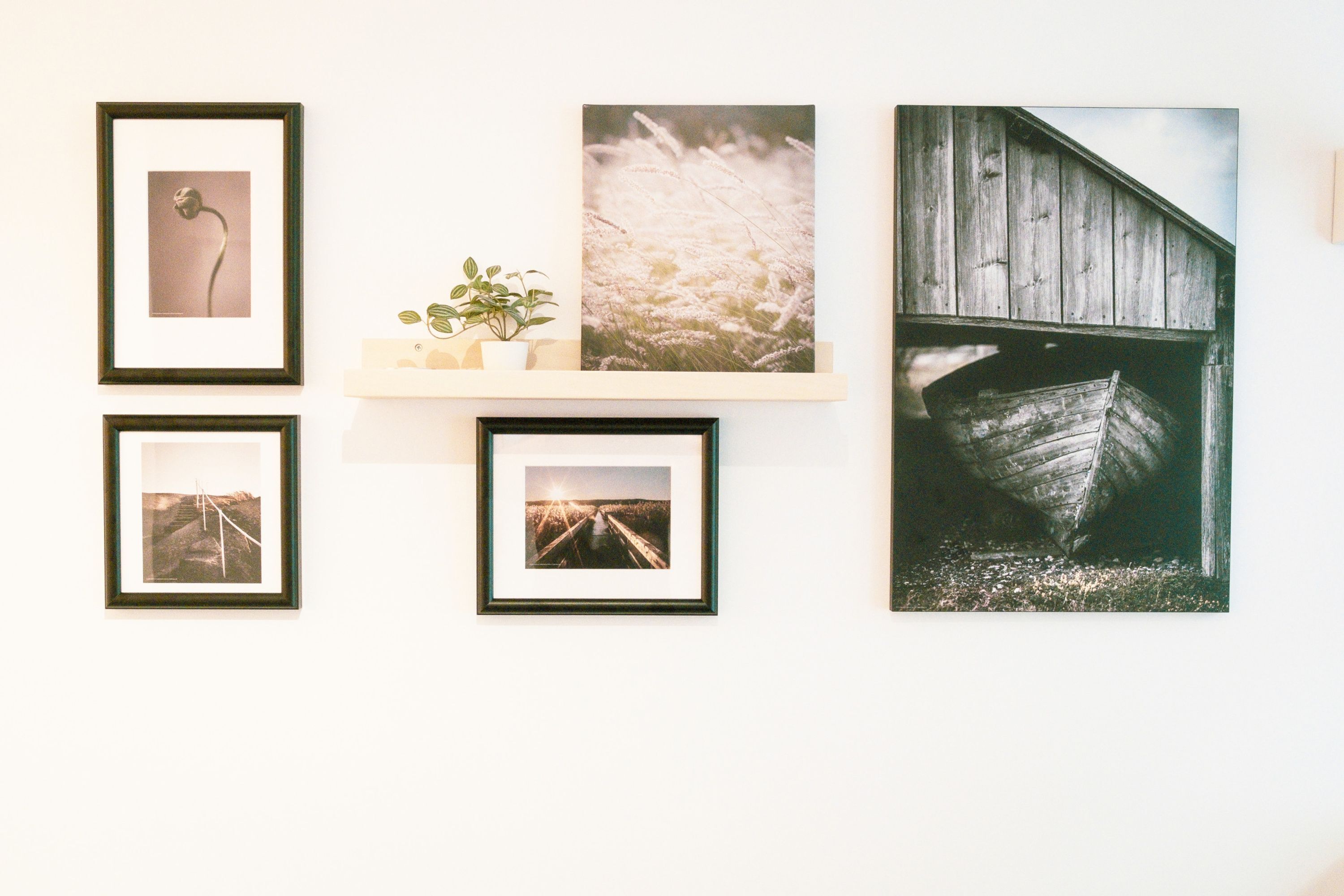 Een muur met vier ingelijste foto's en een klein plankje met een plant.