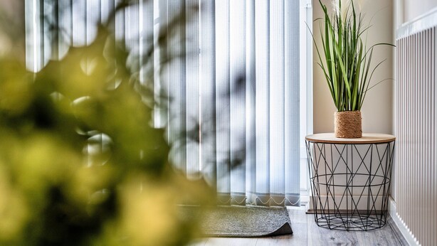 A corner with a round, wire-frame side table holding a plant, a wooden floor, and a window with vertical blinds. - Aldridge Square (Birmingham)