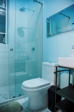 Hair dryer, towels, soap, toilet paper - Beautiful apartment CDMX (Ciudad de México)