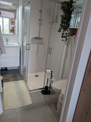 Shower, hair dryer, towels, toilet paper