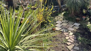 Vue sur le jardin