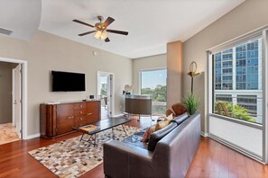 Smart TV, computer monitors
