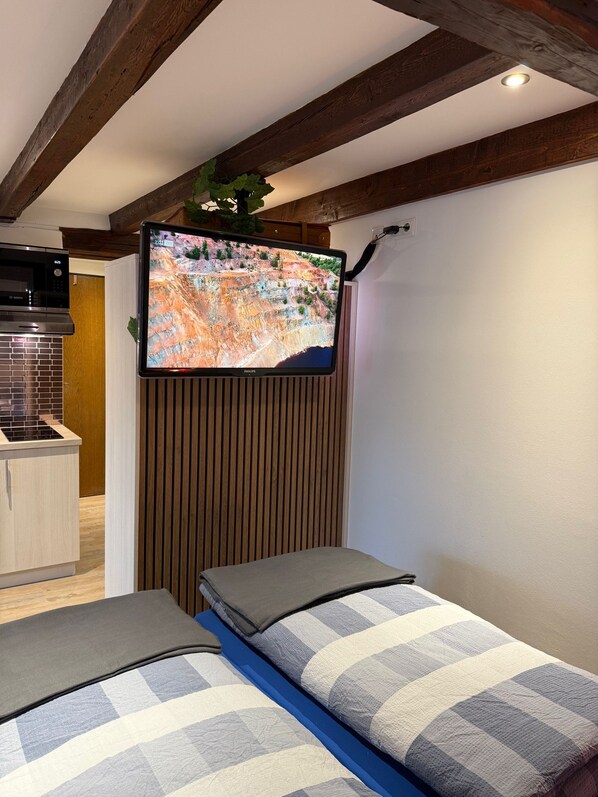 A modern room with a television mounted on a wooden wall, a kitchenette area, and a bed with striped bedding.