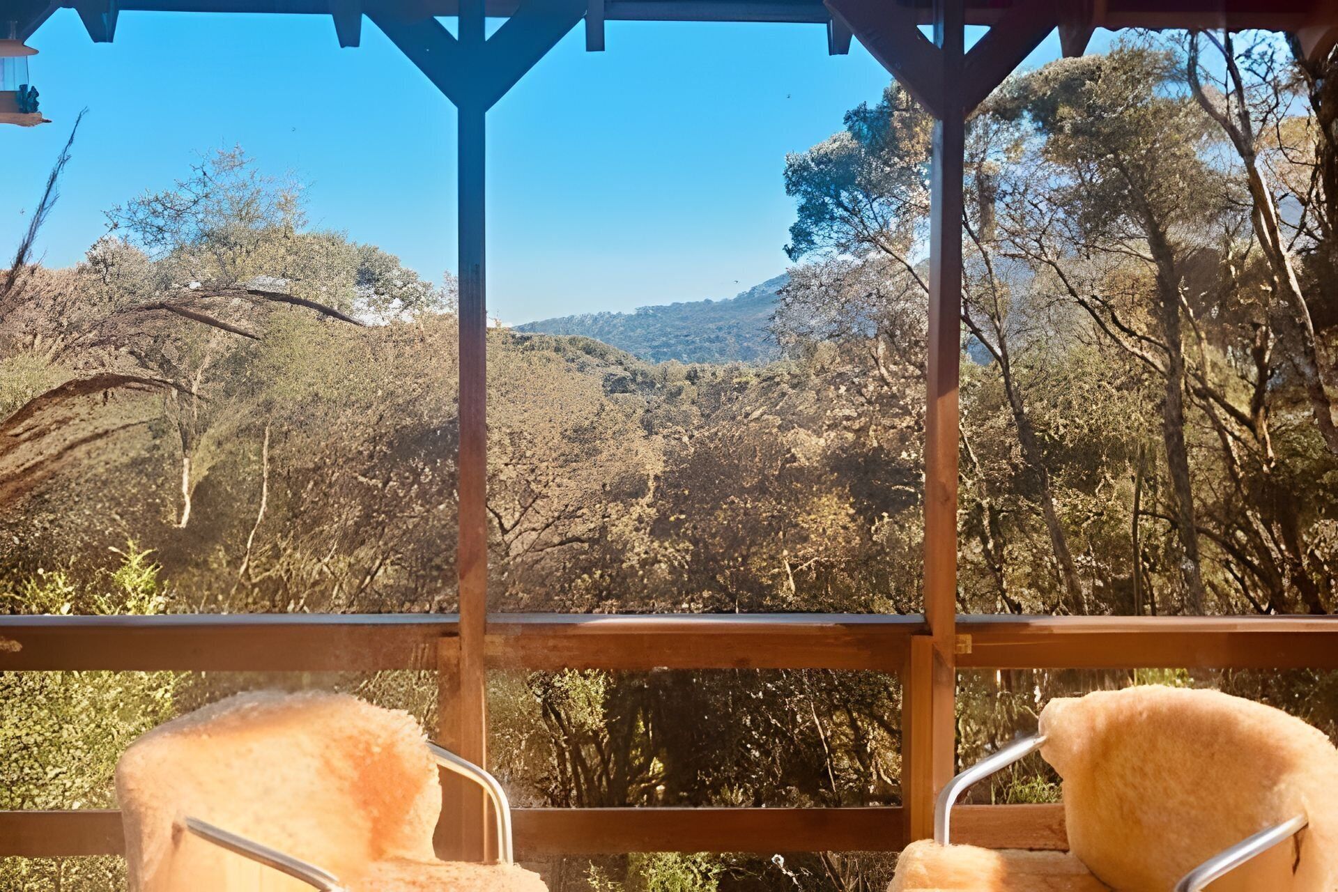 Comfort-alpehytte | Overnatningsstedets område