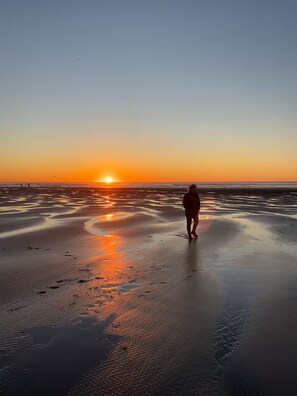 Accommodatie ligt op het strand