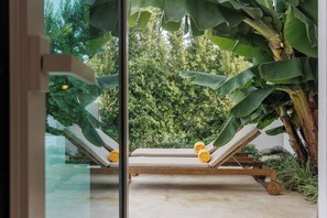 A glass-enclosed room with a wooden lounge chair and a cushioned bench, surrounded by large banana leaves and dense foliage. - Laranjal Farm House (Olhao)