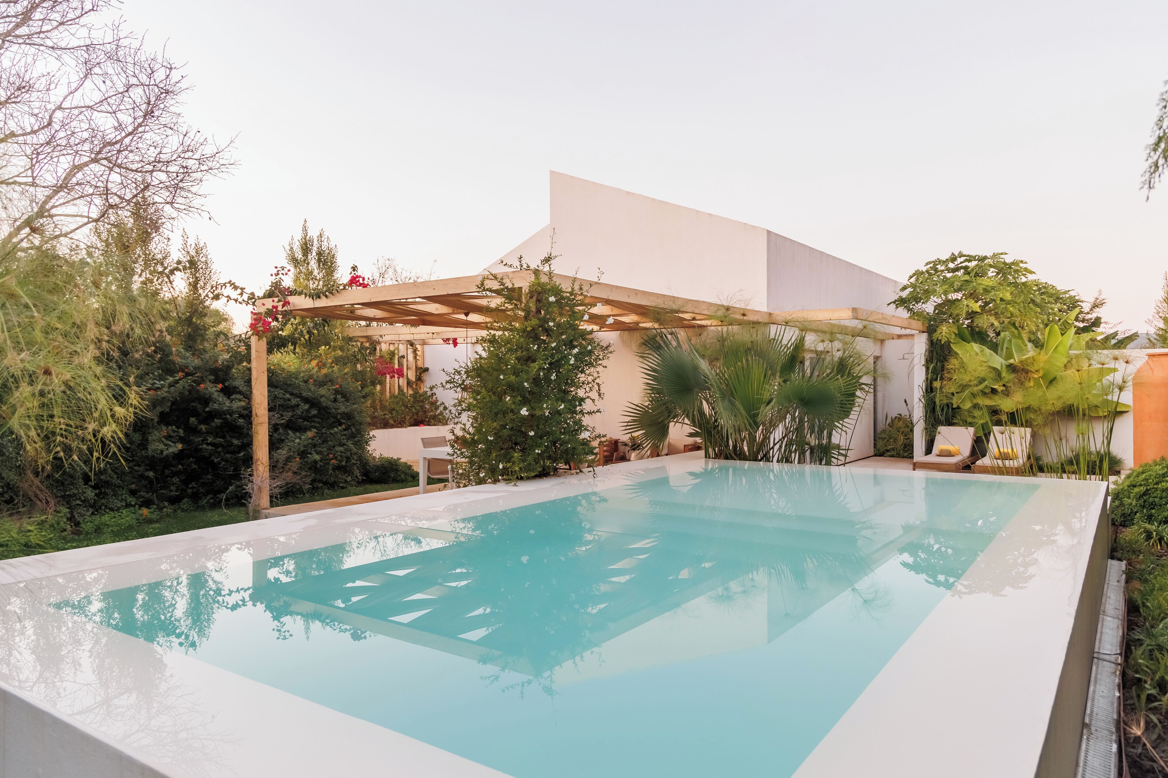 A rectangular swimming pool with a pergola and greenery around it.