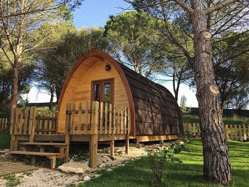 Glamping Sintra POD 3. Enjoy the tranquillity of the forest.