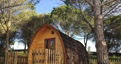 Glamping Sintra POD 3. Enjoy the tranquillity of the forest.