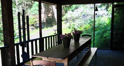 River Room overlooking the waterfall