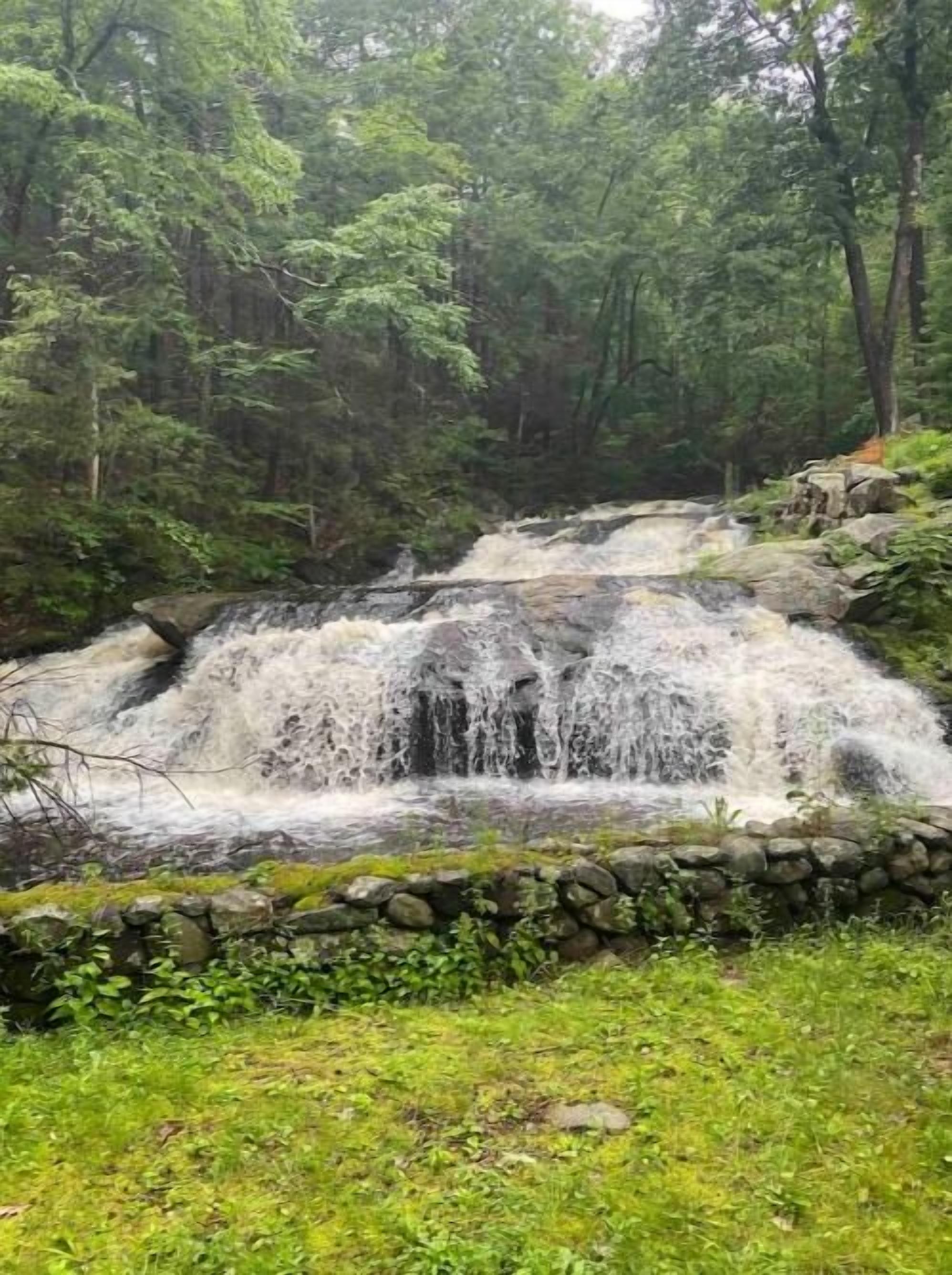 A waterfall cascading over rocks in a forested area.