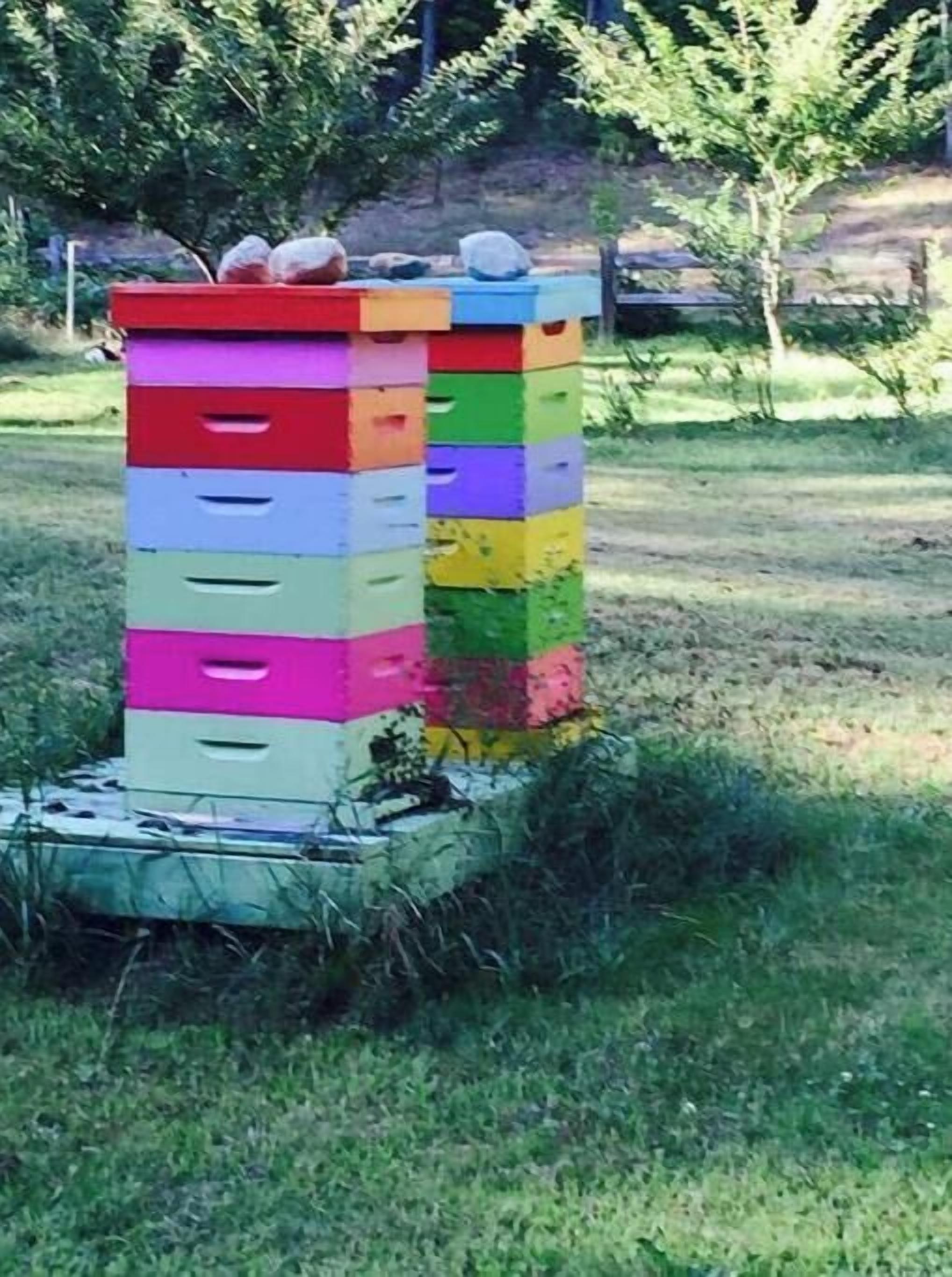 A stack of colorful, multi-tiered beehive structures in an outdoor setting.