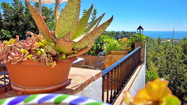 Eine Terrasse mit Topfpflanzen, einer Brüstung und Blick aufs Meer.