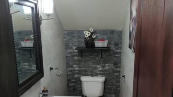 Regadera, secadora de cabello, toallas, jabón