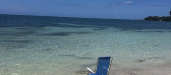 Authentic Jamaican Vibe Fruit Tree Beach, Little Bay Jamaica