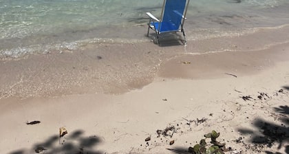 Authentic Jamaican Vibe Fruit Tree Beach, Little Bay Jamaica