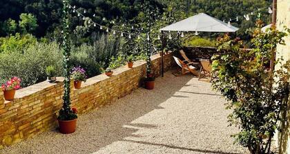 Charming Siena Countryside Stay