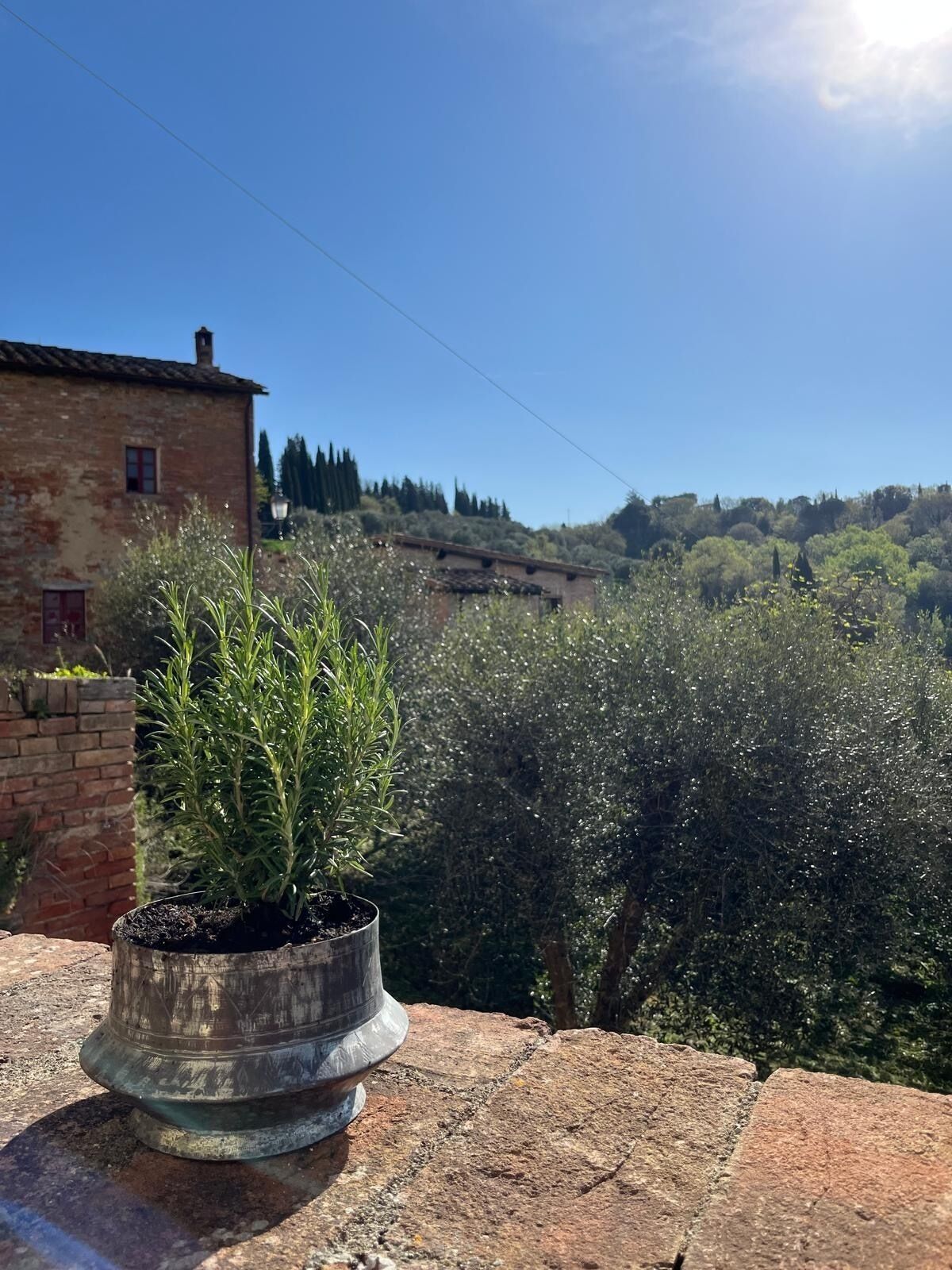 Parco della struttura