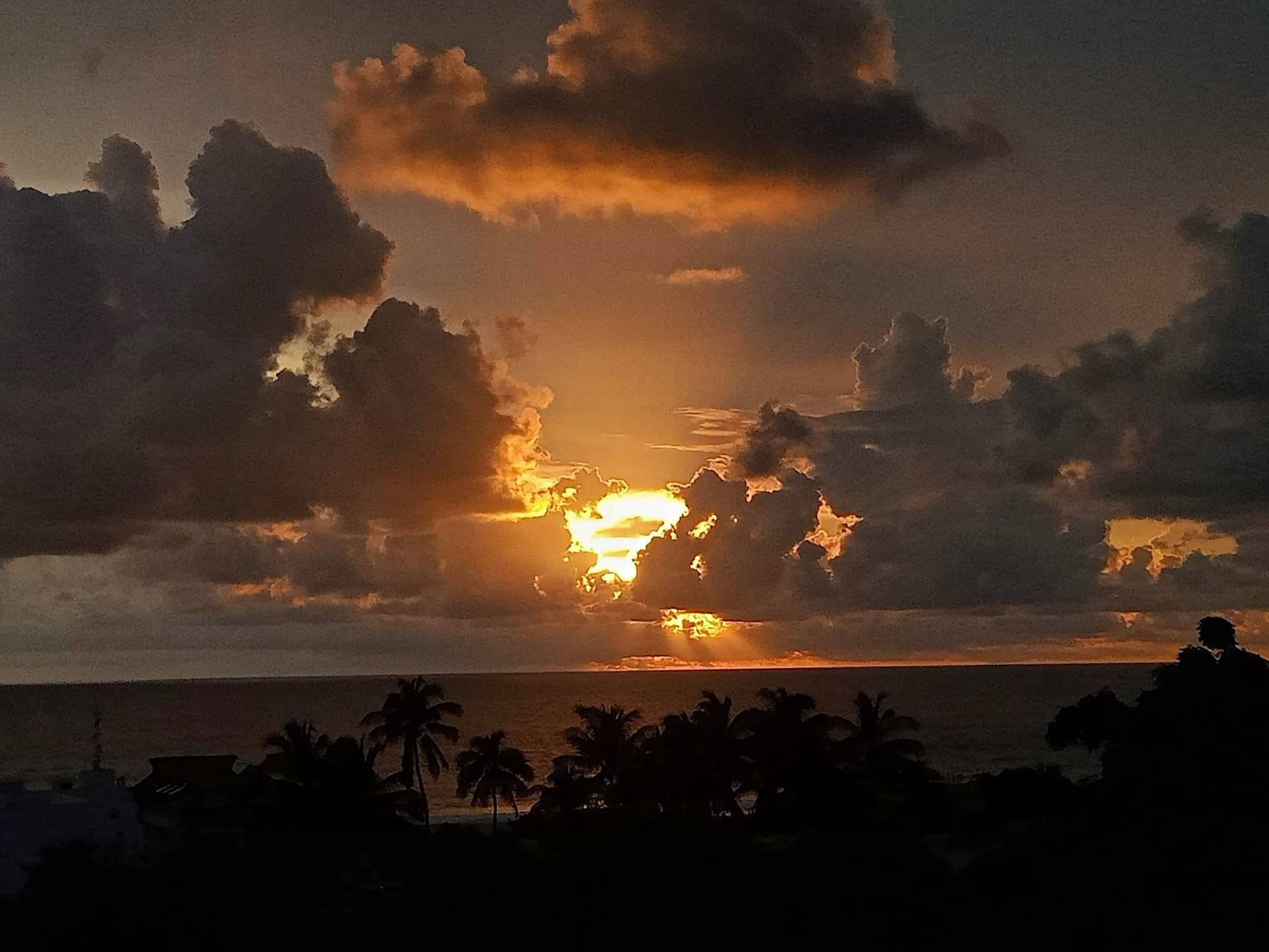Un coucher de soleil sur l’océan, avec les silhouettes de palmiers et de nuages.