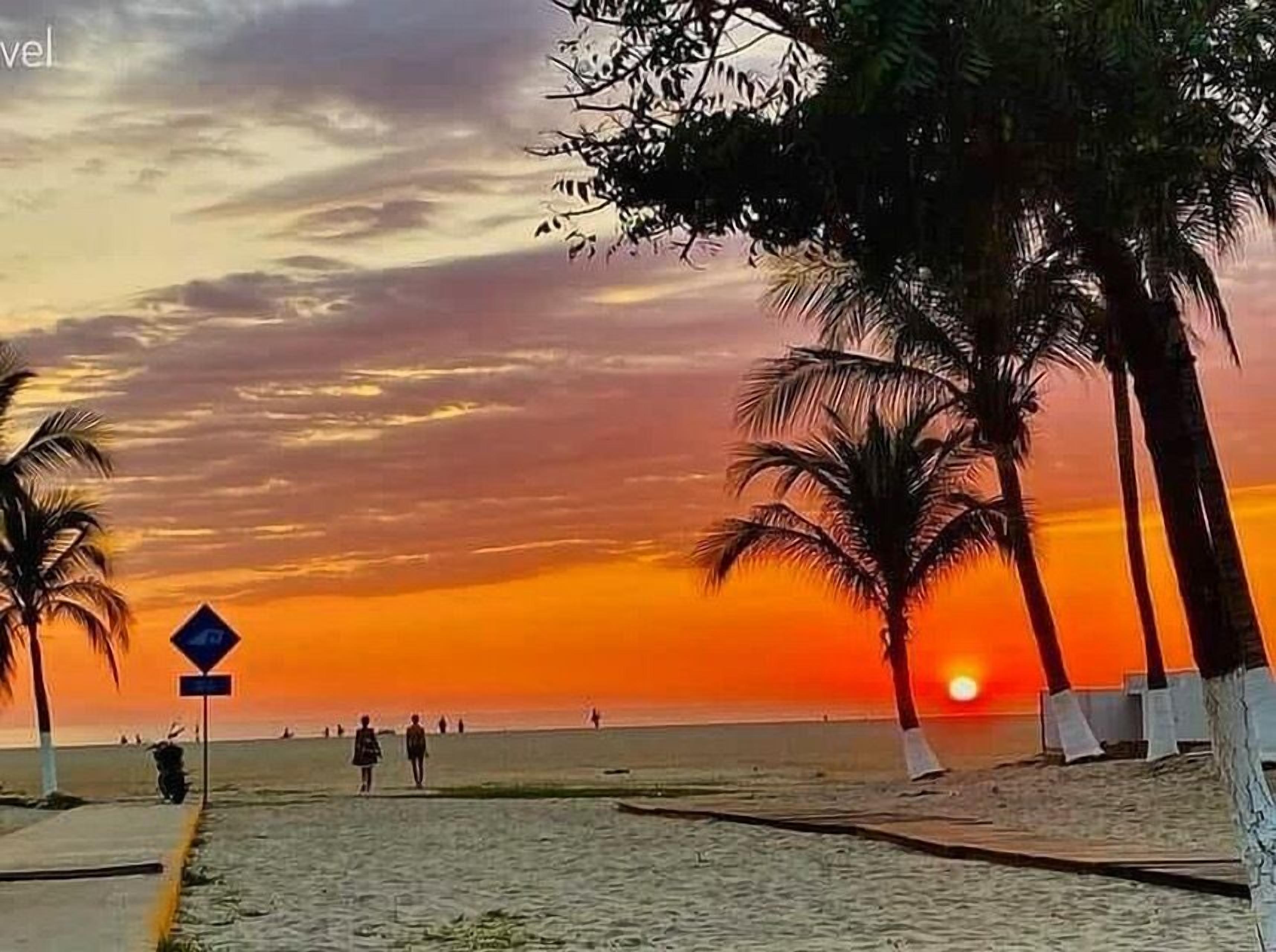 A beach with palm trees and a sunset.