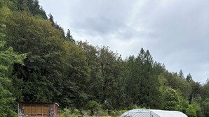 住宿地面
