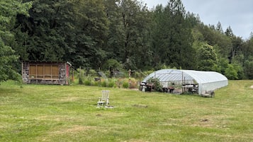 A greenhouse in a grassy field with a wooden structure and a bench.