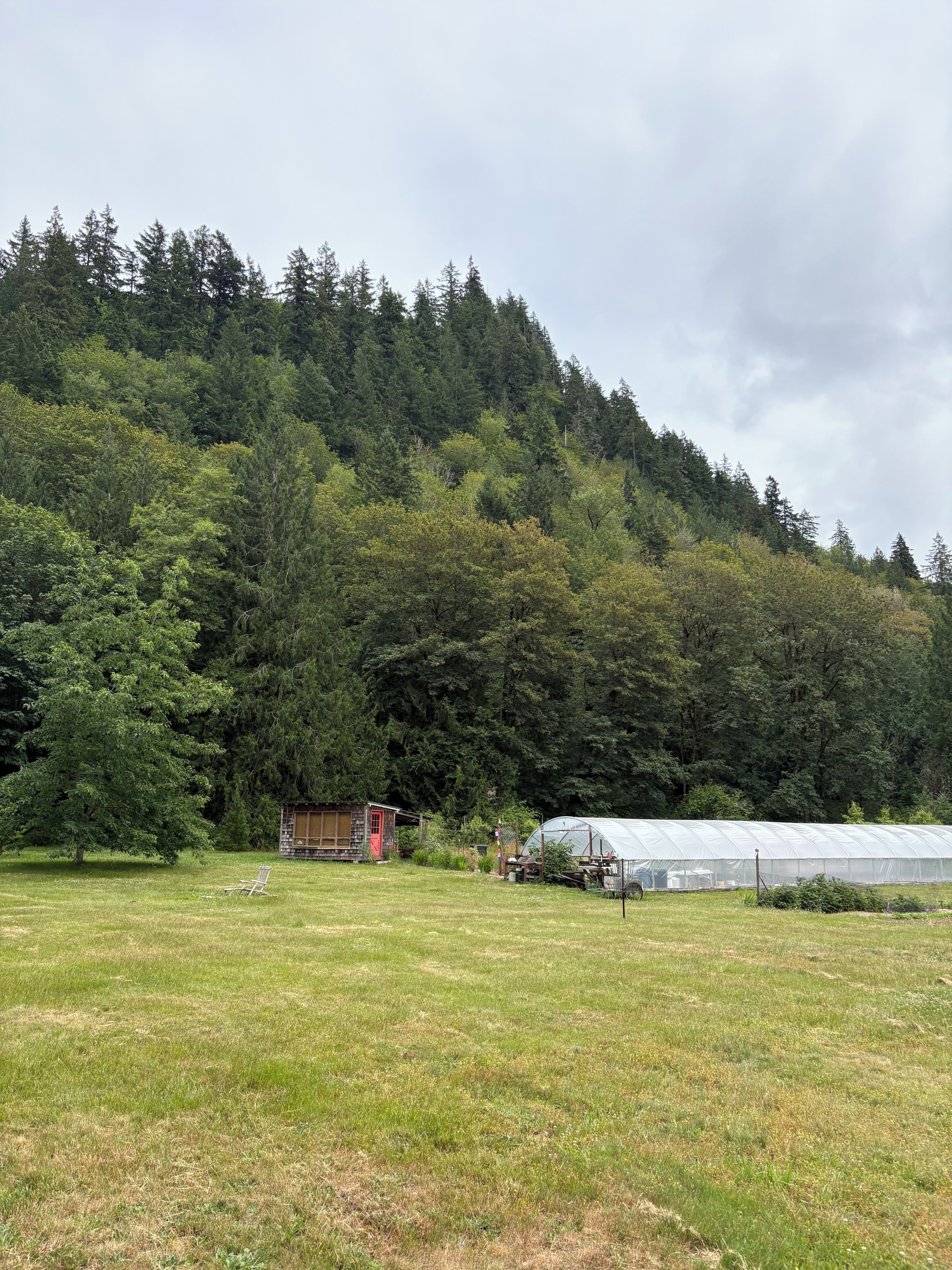 Un paysage rural avec une serre, une petite construction en bois et un grand arbre dans un champ herbeux.