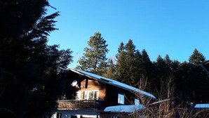 A cabin with a sloped roof, surrounded by tall trees and snow on the roof. - Holiday cottage near Passau /Pullman City (Windorf)