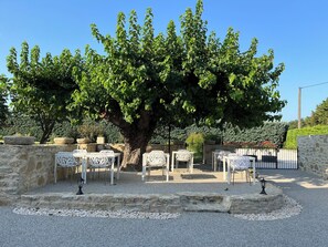 Exterior - Le Mas d'Archas (Allan)