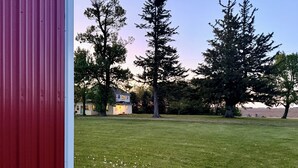 Eine Rasenfläche mit einem Haus und Bäumen.