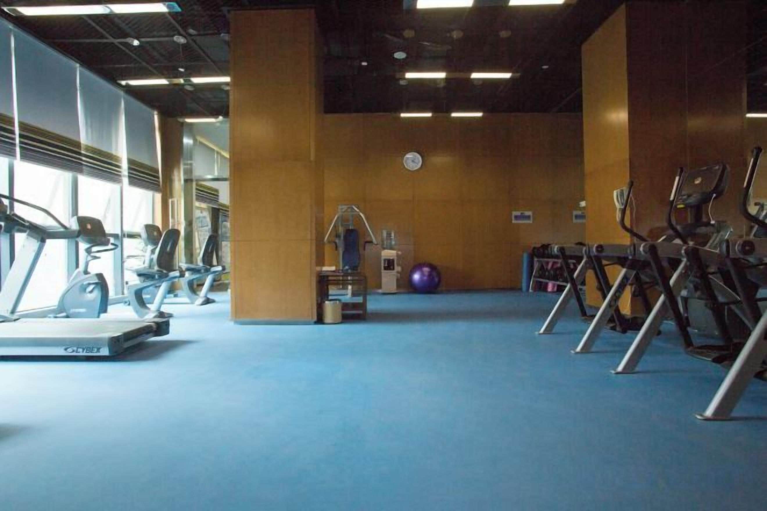 Un gimnasio con equipamiento de ejercicio, incluyendo cintas de correr y bicicletas estáticas, y un piso cubierto de moqueta azul.