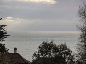 Miscellaneous - Tall Timbers (Ventnor)