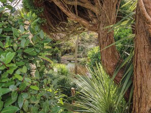 A lush garden with a large tree trunk, dense foliage, and a small stream. - Tall Timbers (Ventnor)
