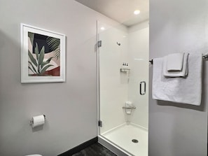 Hair dryer, towels, soap, shampoo - Modern Studio, Near UAB and Downtown Hotspots (Birmingham)