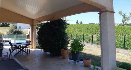 House with swimming pool, at the foot of the vines, for family and friends.