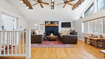 Televisión, chimenea, reproductor de DVD