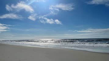 On the beach, sun loungers, beach towels