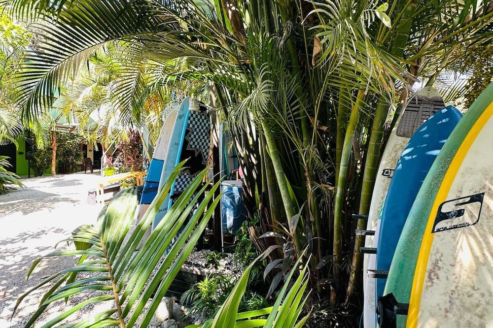 Surf Paradise