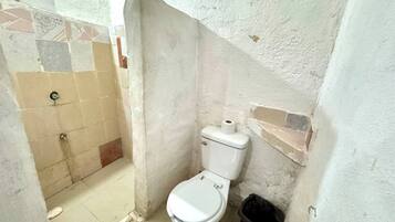 Shower, towels, toilet paper