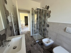Shower, hair dryer, bidet, towels
