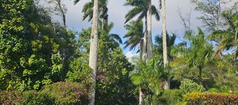 Dalkeith Greathouse-Saltwater Pool ,Lush Gardens & Free Wifi Available 