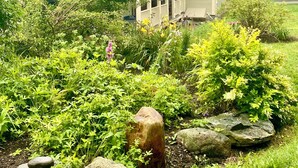 A house with a porch, surrounded by a garden with various plants and rocks.