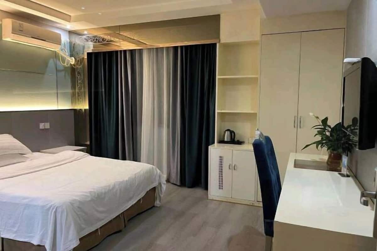 A hotel room with a bed, a desk, a mirror, a wardrobe, and a plant.