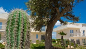 Een grote cactus, een boom en een modern gebouw met balkons en ramen.