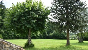 Eine Steinsäule, ein großer Baum mit dichtem Laubwerk und ein grasbewachsenes Feld.