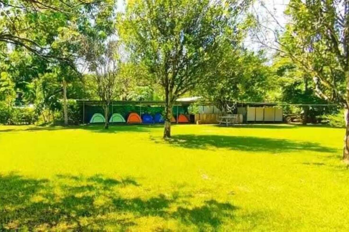 Un espacio al aire libre con césped, árboles y un edificio con toldos de colores.